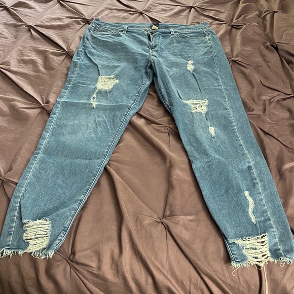 Lane Bryant Denim - Distressed ankle jeggings